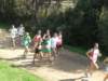 dscn1978_small.jpg