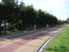 dsc00966_small.jpg