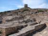 dsc03920_small.jpg
