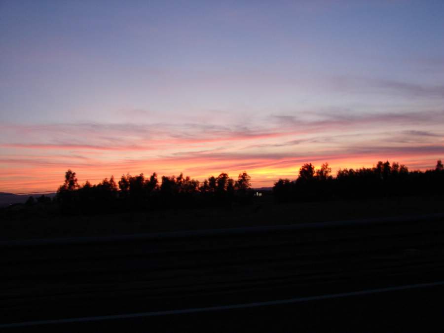 dsc03973.jpg