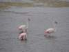 dsc04032_small.jpg