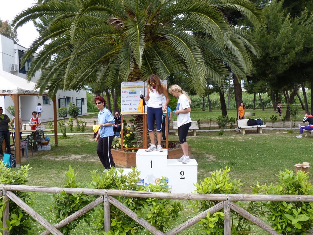 p1000815.jpg
