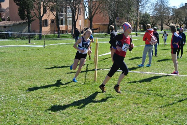 ccc36_saccucci_reina.jpg